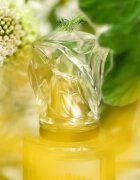 Sisley L'Eau Rêvée d'Hubert Eau de Toilette pentru femei 50 ml