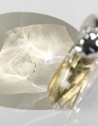 Sisley Soir de Lune Eau de Parfum pentru femei 30 ml