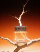 Sister's Aroma Amber difuzor de aroma 110 ml