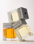 Sister's Aroma Amber difuzor de aroma 110 ml