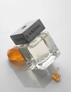 Sister's Aroma Amber difuzor de aroma 110 ml