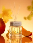 Sister's Aroma Mango difuzor de aroma 120 ml