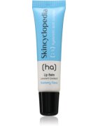 Skincyclopedia 1% Hyaluronic Acid Complex balsam de buze 10 ml