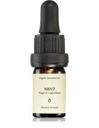 Smells Like Spells Essential Oil Mint ulei esențial 5 ml