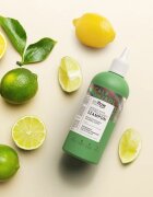 so!flow Oily Scalp Intensively Cleansing Shampoo sampon pentru curatare pentru un scalp seboreic 200 ml