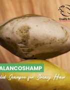 Soaphoria Hair Care Solid Shampoo șampon organic solid pentru par gras 60 g