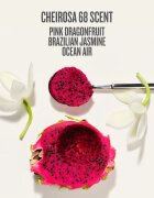 Sol de Janeiro Rio Deo Aluminium-Free Deodorant Cheirosa 68 deodorant fără conținut săruri de aluminiu 57 g
