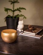Stadler Form Diffuser Jasmine Difuzor de aromă cu ultrasunete culoare Gold 1 buc