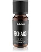 Stadler Form Recharge Jedle & Borovice ulei esențial 10 ml