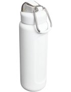Stanley The Wellspring Bottle sticlă termos Hammertone Frost 1 buc