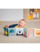 Taf Toys Book North Pole carte educativă contrastantă pentru bebeluși 1 buc