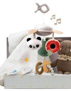 Taf Toys Luxury Newborn Kit set cadou pentru bebeluși