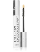 Talika Eyebrow Liposourcils Expert Ser pentru stimularea cresterii parului 10 ml