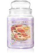 THD Vegetal Pepe Rosa E Caffe lumânare parfumată 600 g