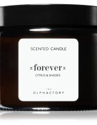 The Olphactory Ambientair Citrus & Shades lumânare parfumată Forever 360 g