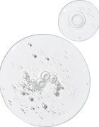 The Ordinary Multi-Peptide Eye Serum ser pentru ochi cu efect de iluminare cu peptide 15 ml