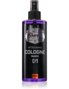 The Shave Factory Pacific after shave 250 ml