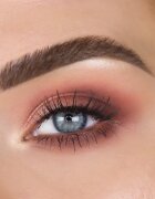 theBalm Male Order® Domestic Male paleta farduri de ochi 13.2 g