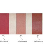 theBalm X Model Roz Voyage set de buze mat