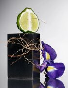 TOM FORD Eau de Grey Vetiver Eau de Toilette pentru bărbați 50 ml