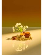 Tree Hut Shea Sugar Scrub Santal Haze exfoliant de corp cu zahăr 510 g