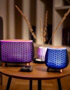 TrueLife AIR Diffuser D6 difuzor de aromă cu ultrasunete și umidificator de aer 1 buc