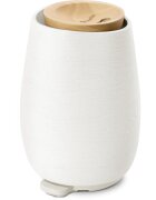TrueLife AIR Diffuser D8 difuzor de aromă cu ultrasunete și umidificator de aer 1 buc