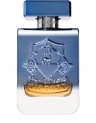 Victory Mercury Eau de Parfum unisex 100 ml