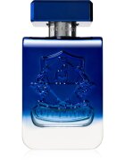 Victory Radiant Eau de Parfum unisex 100 ml