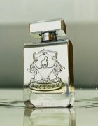 Victory Silver Eau de Parfum unisex 100 ml