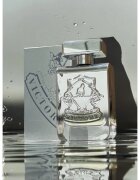 Victory Silver Eau de Parfum unisex 100 ml