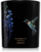 Vila Hermanos Jungletopia Hummingbird lumânare parfumată 200 g