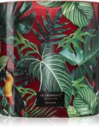 Vila Hermanos Jungletopia Wild Musk lumânare parfumată 1450 g