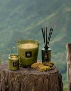 VOLUSPA Japonica Temple Moss lumânare parfumată 510 g
