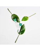 VT Cosmetics Cica Cream crema de fata hidratanta cu efect calmant 50 ml