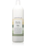 Waterclouds H202 9% vol 30 Peroxide Cream 9% 1000 ml