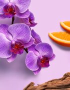 Weleda Mystic Aura spray parfumat pentru corp și păr pentru femei 95 ml
