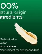 Weleda Skin Food balsam de buze hranitor 4.8 g