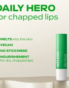 Weleda Skin Food Make-up Favourites set cadou pentru o piele perfecta