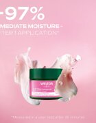 Weleda Wild Rose Renewal Ritual set cadou pentru primele riduri