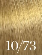 Wella Professionals Color Touch Deep Browns culoare par culoare 10/73 60 ml