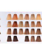 Wella Professionals Color Touch Deep Browns culoare par culoare 5/75 60 ml