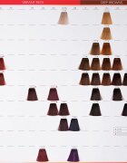 Wella Professionals Color Touch Deep Browns culoare par culoare 5/75 60 ml