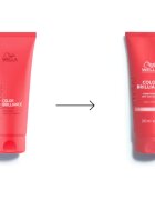 Wella Professionals Invigo Color Brilliance set pentru păr vopsit