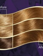 Wella ton Intense Culoare permanenta pentru par cu ulei de argan culoare 7/3 Hazelnut 1 buc