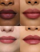 WONDERSKIN Wonder Blading All-Day Lip Stain Ruj de buze lichid de lunga durata culoare Demure 4 ml
