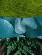 Woodwick Cedarwood & Ocean Moss lumânare parfumată cu fitil din lemn 610 g