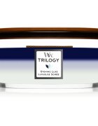 Woodwick Trilogy Evening Luxe lumânare parfumată cu fitil din lemn (hearthwick) 453.6 g