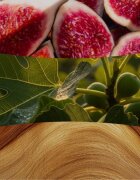 Woodwick Verdant Fig lumânare parfumată cu fitil din lemn 275 g