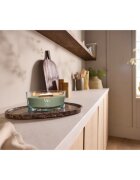 Woodwick Verdant Fig lumânare parfumată cu fitil din lemn 453.6 g